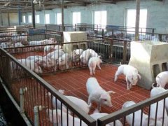 畜牧業養殖場玻璃鋼格