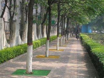 甬道樹坑玻璃鋼格柵護